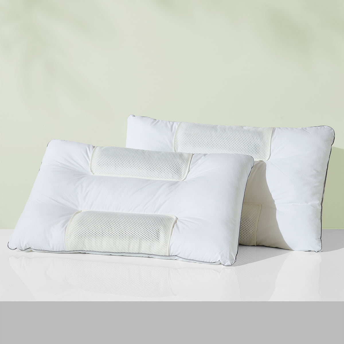 Cassia Seed Buckwheat Pillow