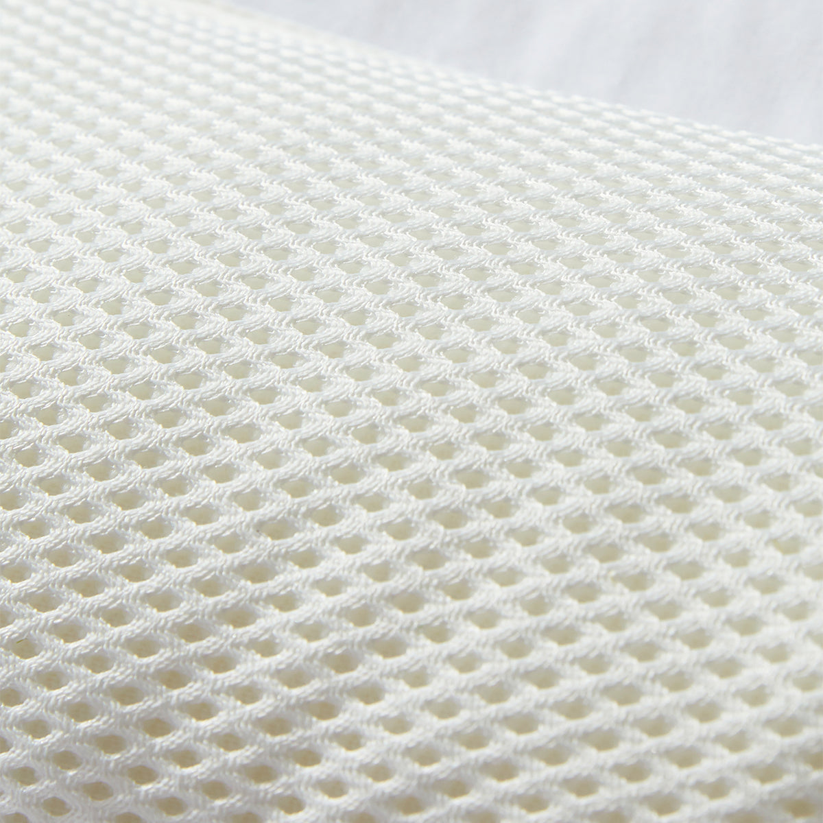 Cassia Seed Buckwheat Pillow
