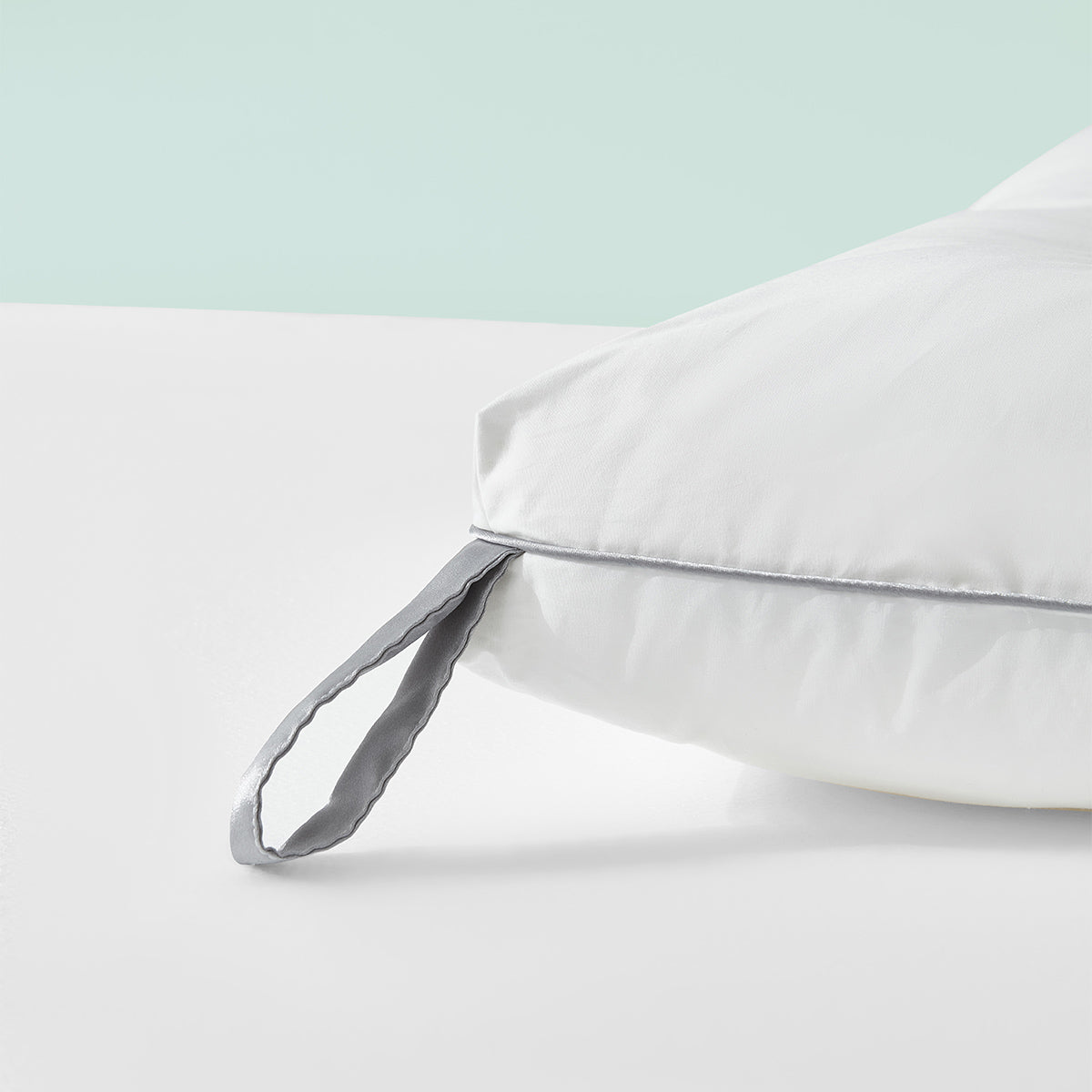 Cassia Seed Buckwheat Pillow