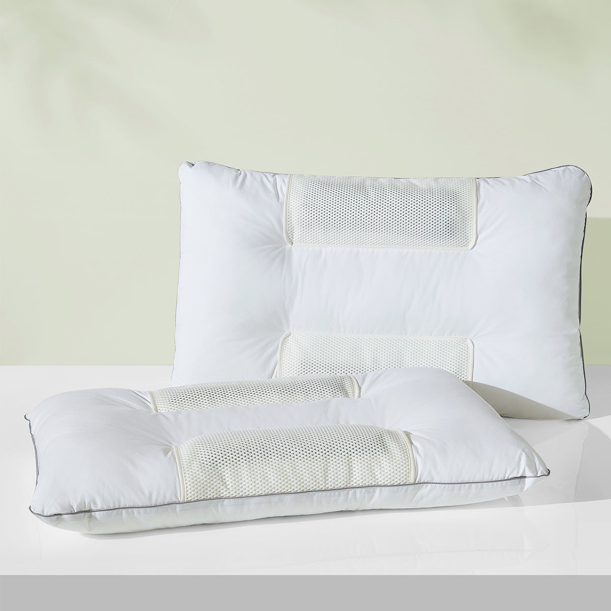Cassia Seed Buckwheat Pillow